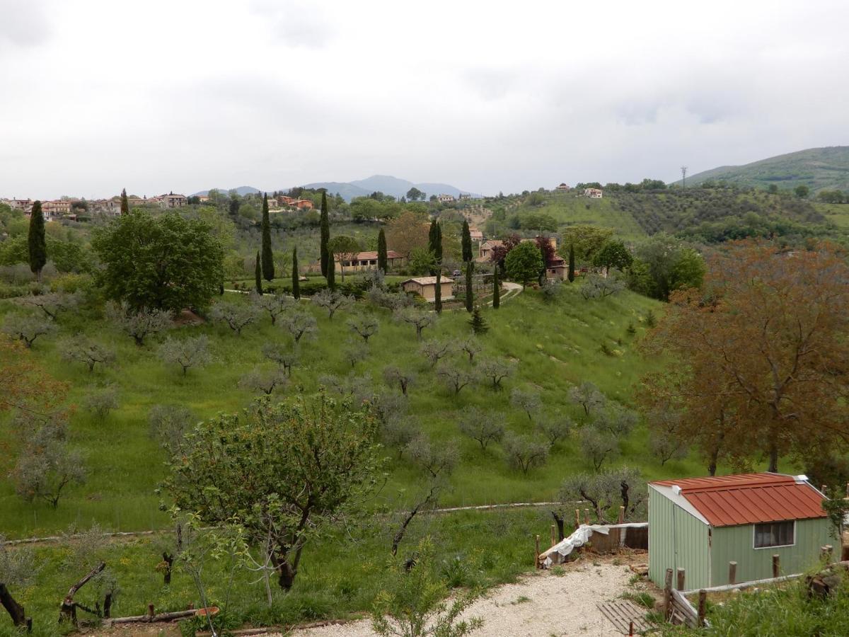 Bed and Breakfast Il Gelsomino Frasso Sabino Екстер'єр фото