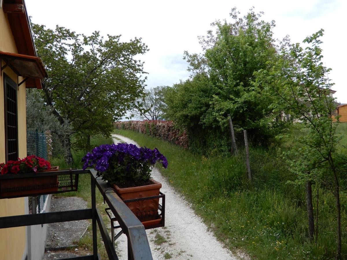 Bed and Breakfast Il Gelsomino Frasso Sabino Екстер'єр фото